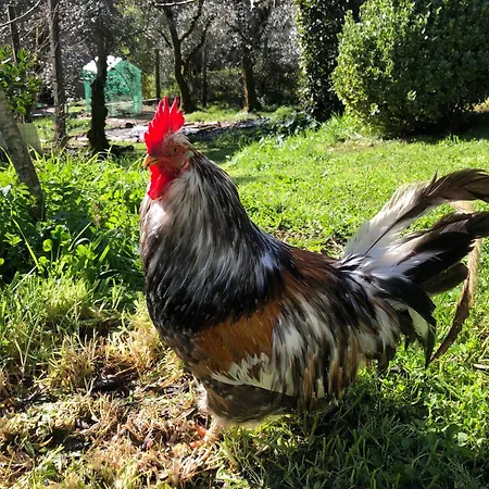 Couette-café House Of The Three Marias Pedrogao Grande