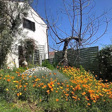 Bed and Breakfast House Of The Three Marias Pedrogao Grande