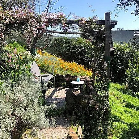 House Of The Three Marias 4* Pedrogao Grande