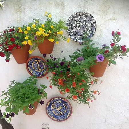 House Of The Three Marias بيدروغاو غراندي