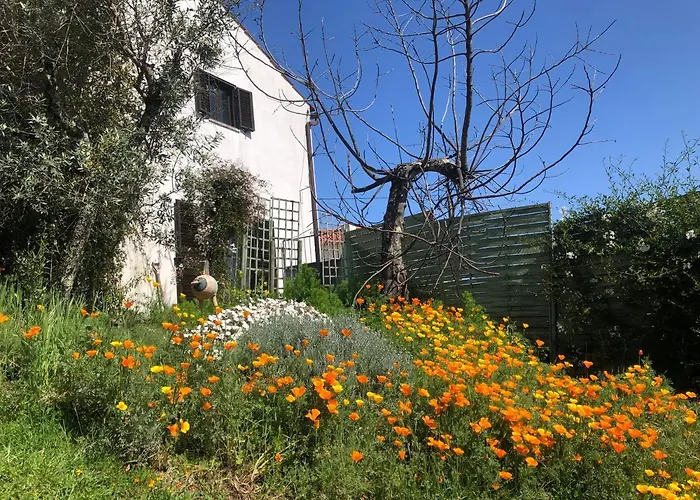 House Of The Three Marias Nocleg ze śniadaniem 4*