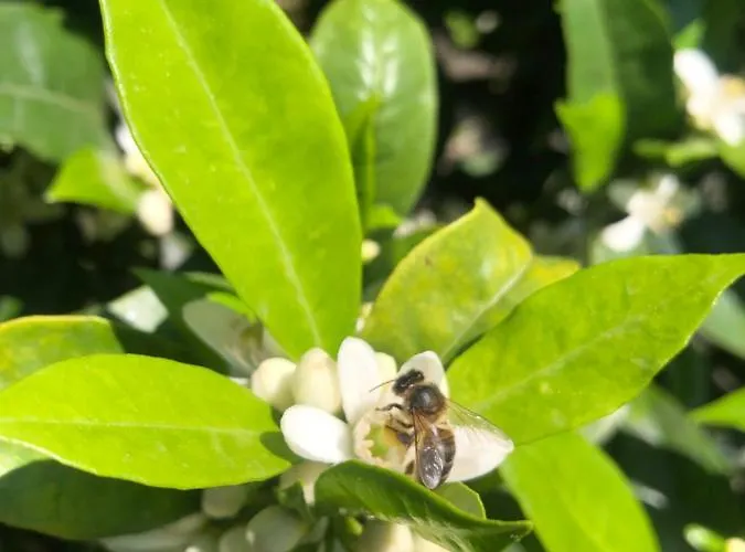 House Of The Three Marias 4* Pedrogao Grande