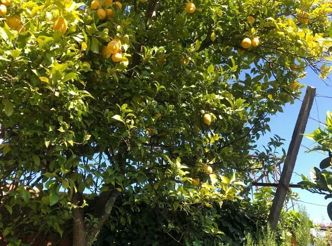 Nocleg ze śniadaniem House Of The Three Marias Pedrogao Grande