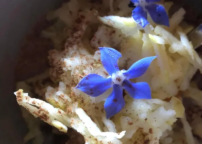 Nocleg ze śniadaniem House Of The Three Marias 4*