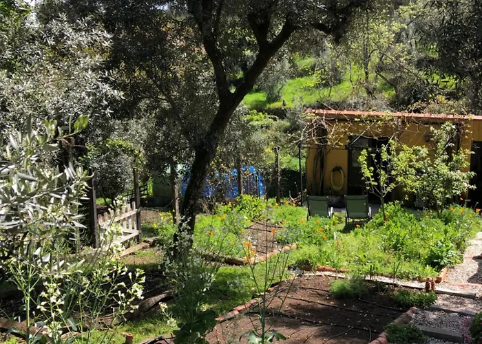 House Of The Three Marias Nocleg ze śniadaniem Pedrogao Grande