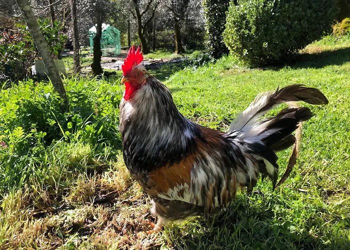 Couette-café House Of The Three Marias Pedrogao Grande